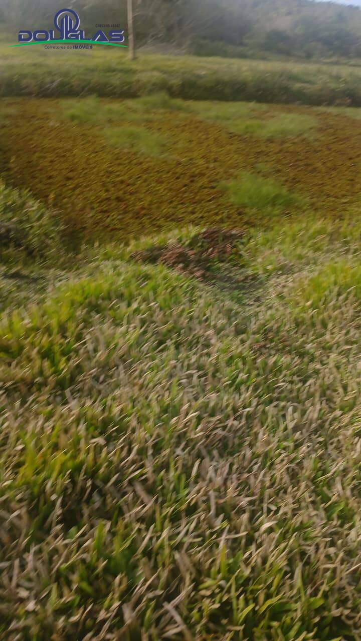 Terreno, 3 hectares - Foto 6