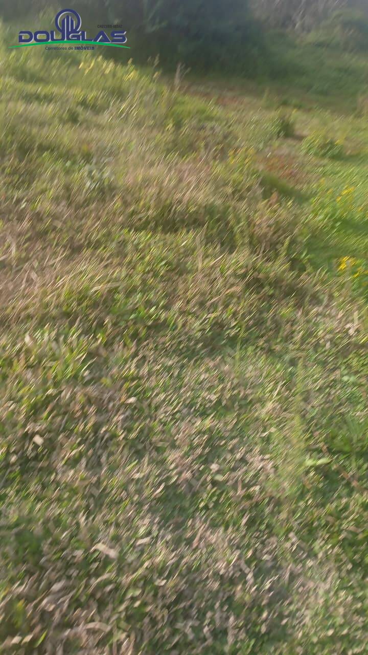 Terreno, 3 hectares - Foto 8