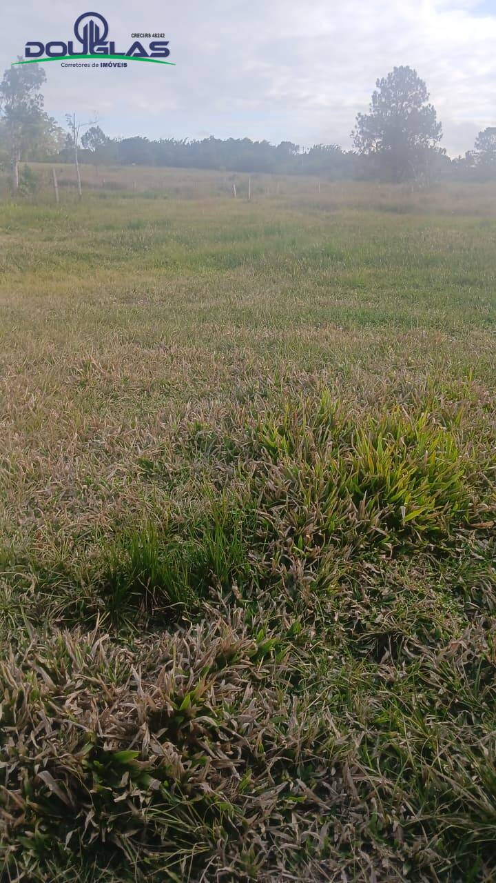 Terreno, 3 hectares - Foto 9