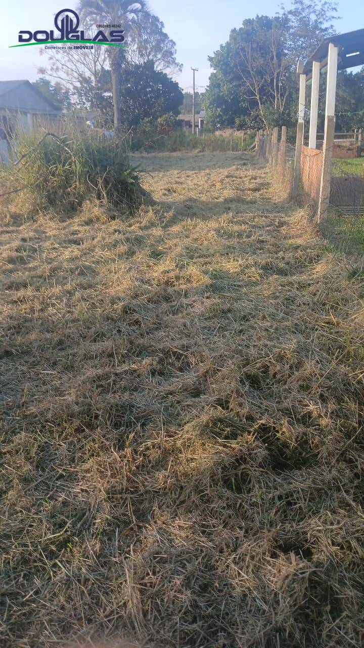 Terreno, 360 m² - Foto 5