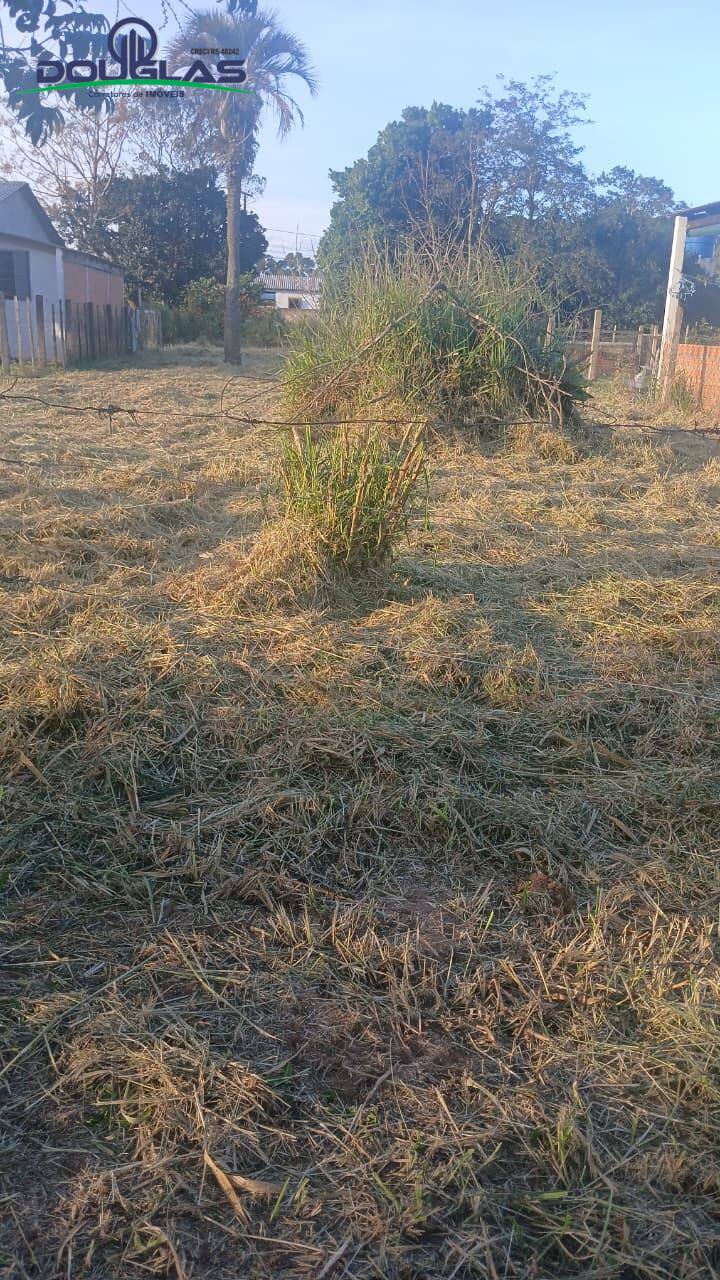 Terreno, 360 m² - Foto 7