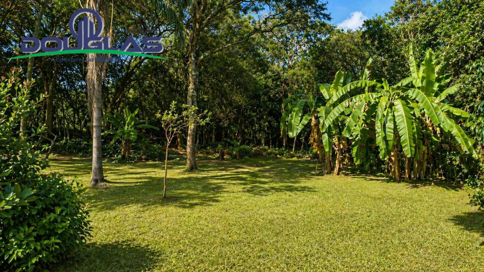 Chácara, 1 quarto, 5000 m² - Foto 2
