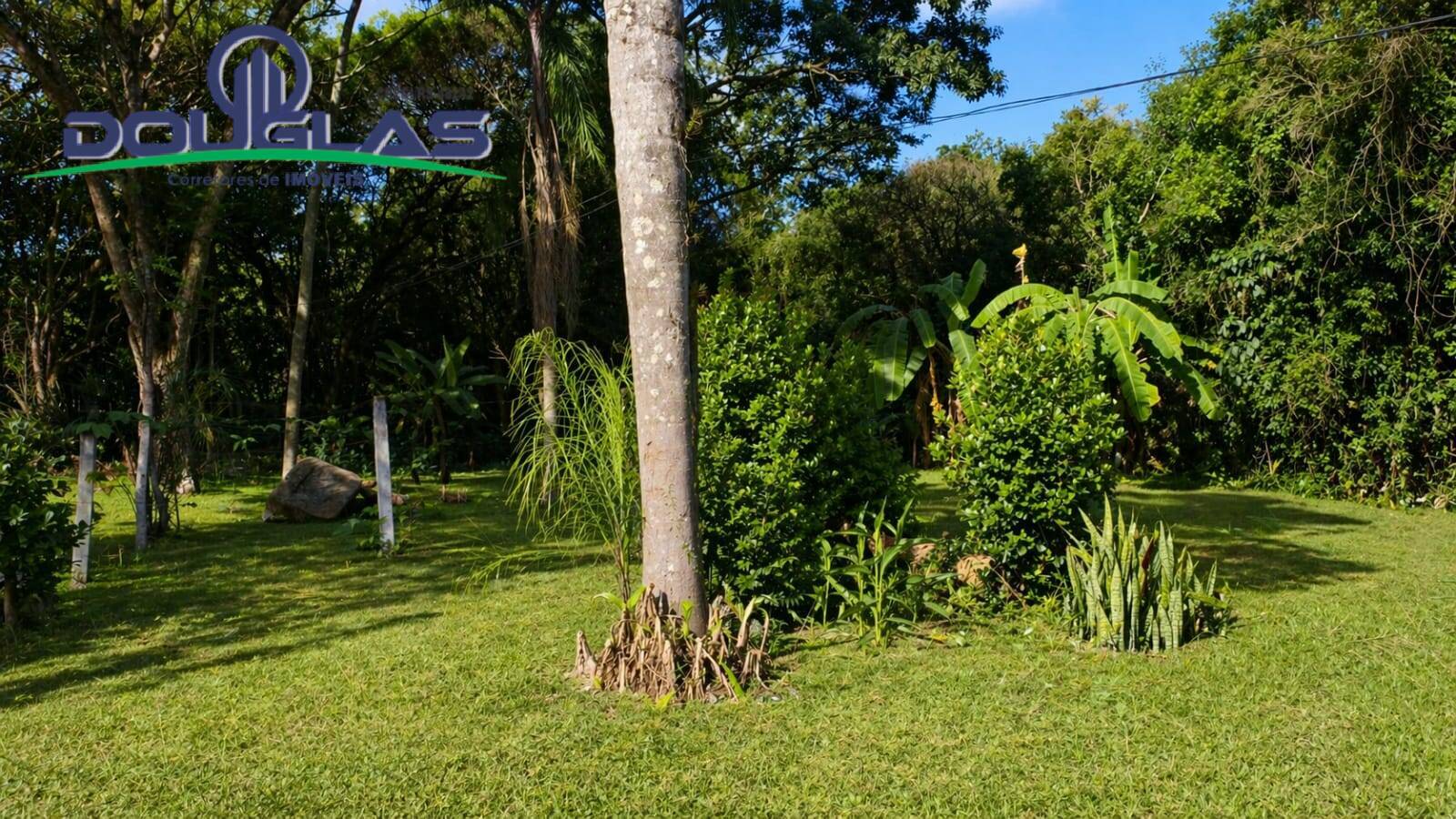 Chácara, 1 quarto, 5000 m² - Foto 5