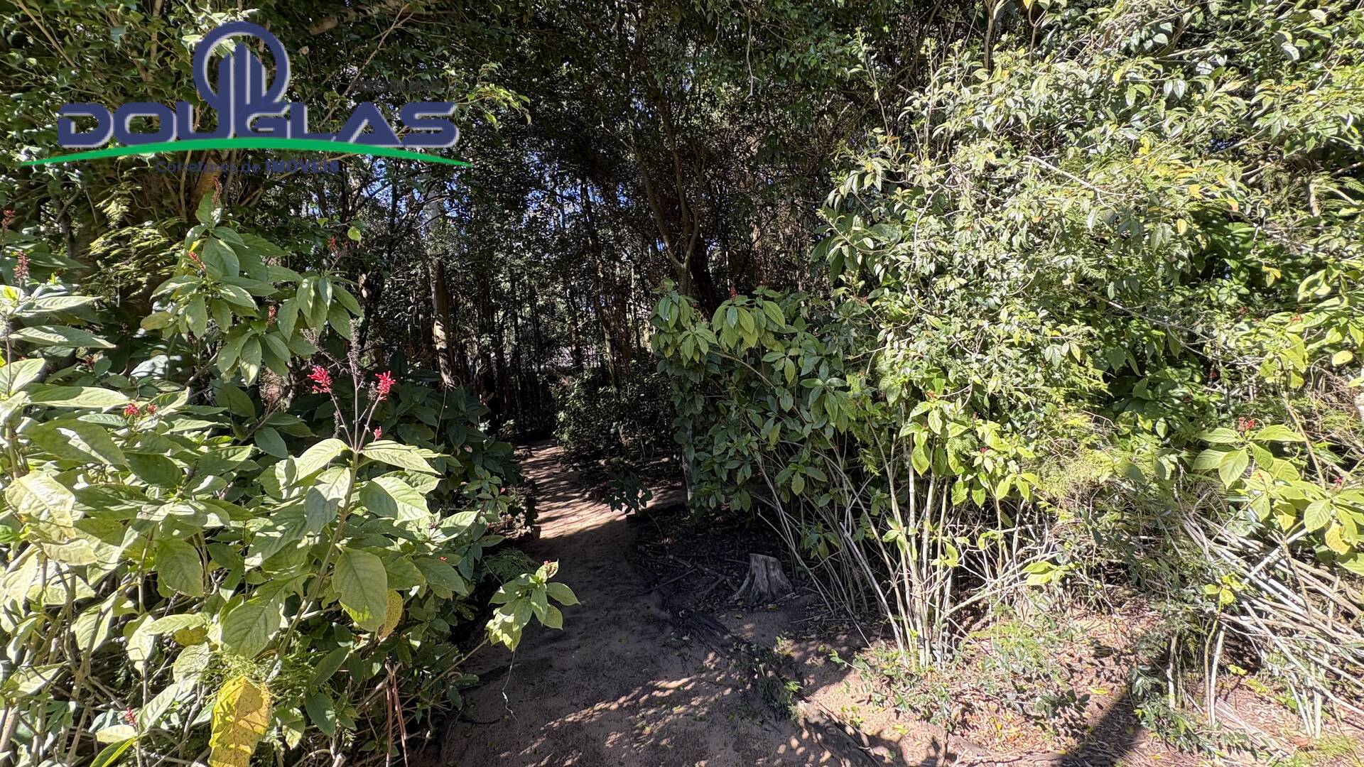 Casa - Foto 2