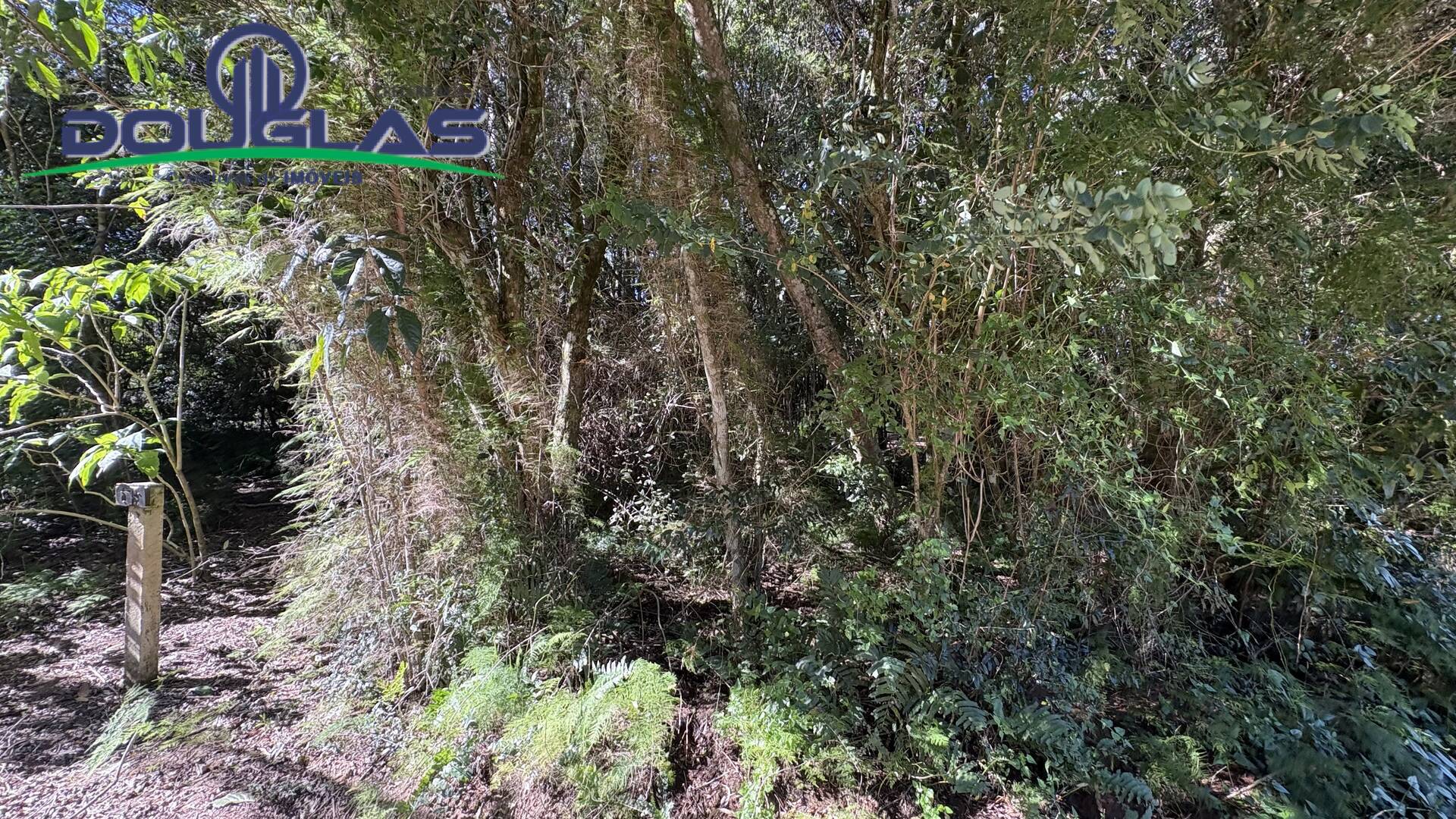 Casa - Foto 11