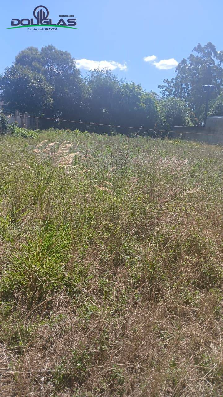 Terreno, 500 m² - Foto 3