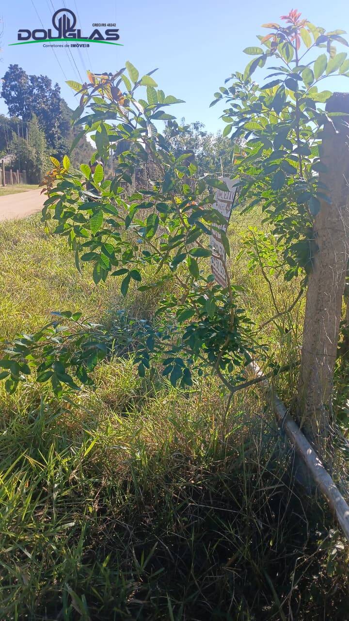Terreno - Foto 2