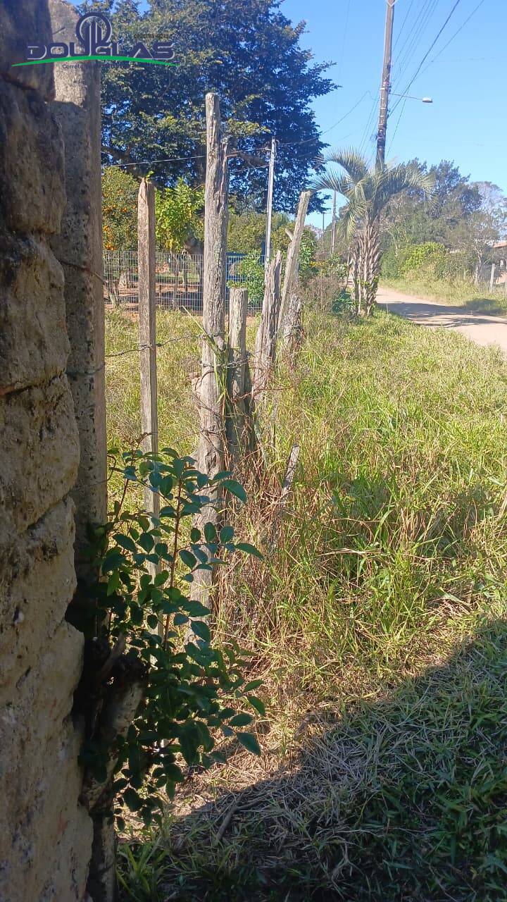 Terreno - Foto 6