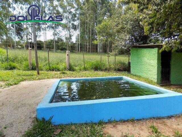 Sítio à venda com 2 quartos, 5000m² - Foto 9