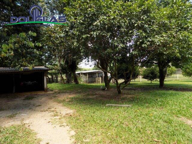 Sítio à venda com 2 quartos, 5000m² - Foto 43