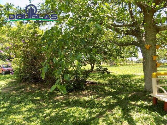 Sítio à venda com 2 quartos, 5000m² - Foto 45
