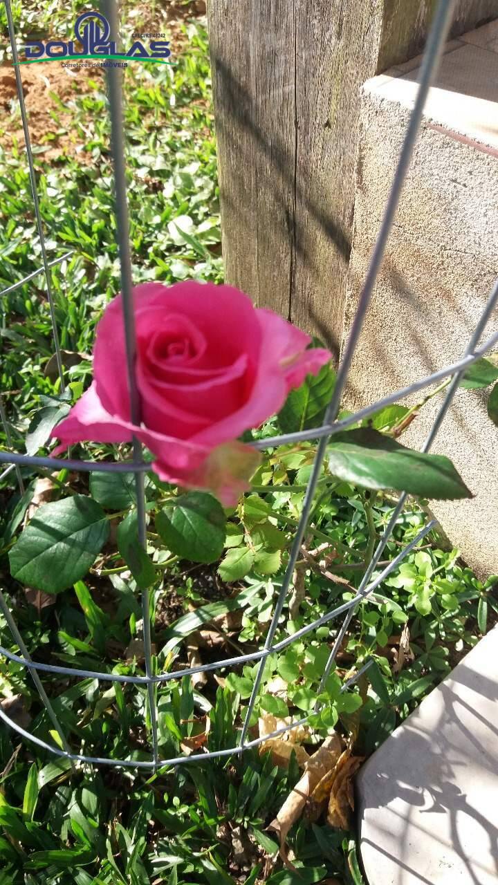 Casa, 2 quartos - Foto 23