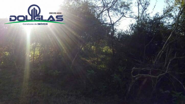 Terreno, 1000 m² - Foto 1