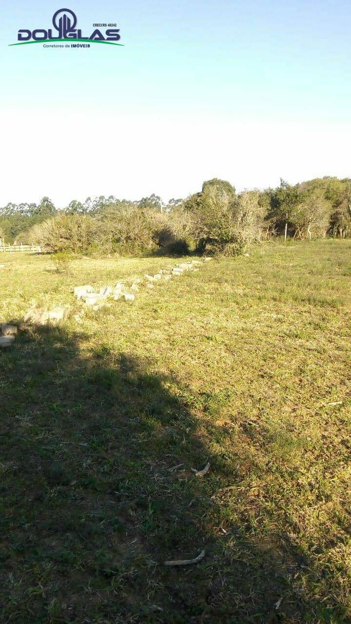 Terreno, 1000 m² - Foto 5