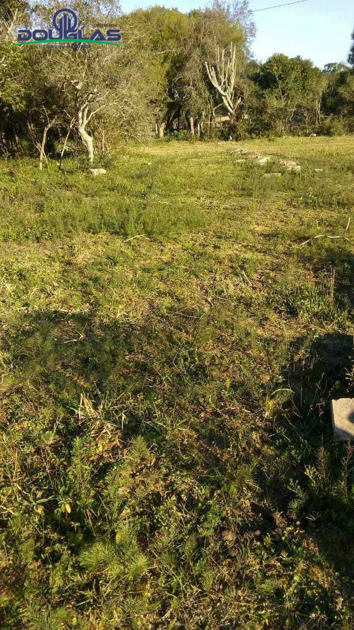 Terreno, 1000 m² - Foto 6