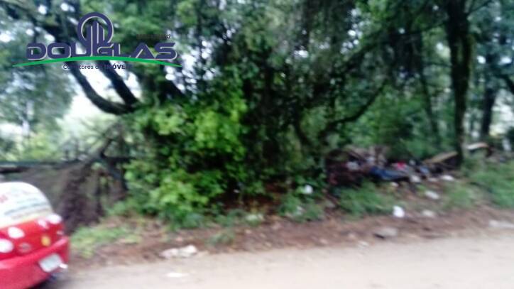 Terreno, 1960 m² - Foto 2