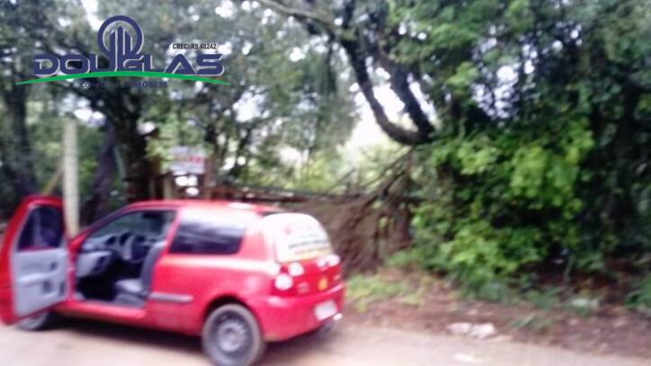 Terreno, 1960 m² - Foto 3