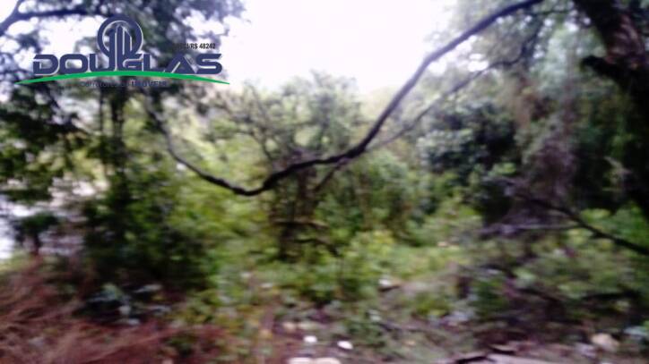 Terreno, 1960 m² - Foto 5