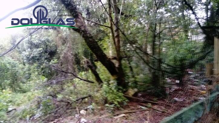 Terreno, 1960 m² - Foto 6