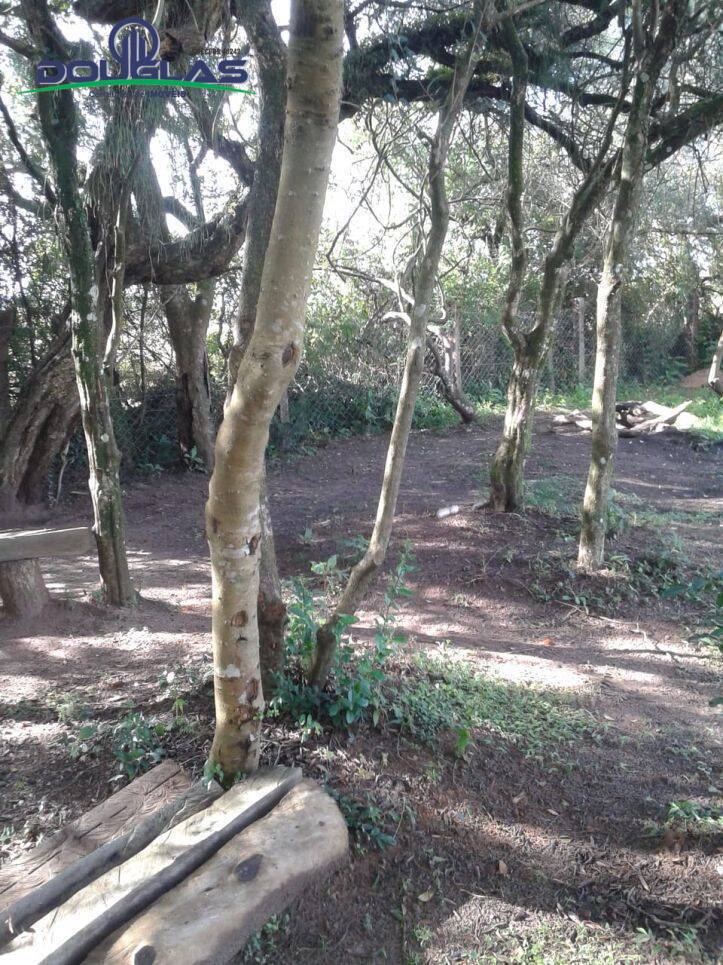 Casa, 3 quartos - Foto 13