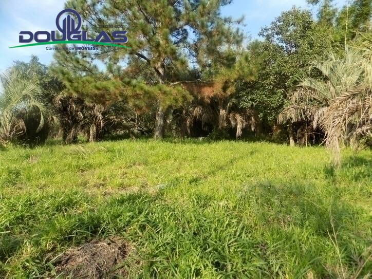 Terreno, 465 m² - Foto 2