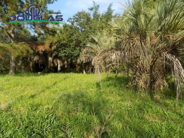 Terreno, 465 m² - Foto 3