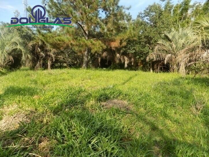 Terreno, 465 m² - Foto 4