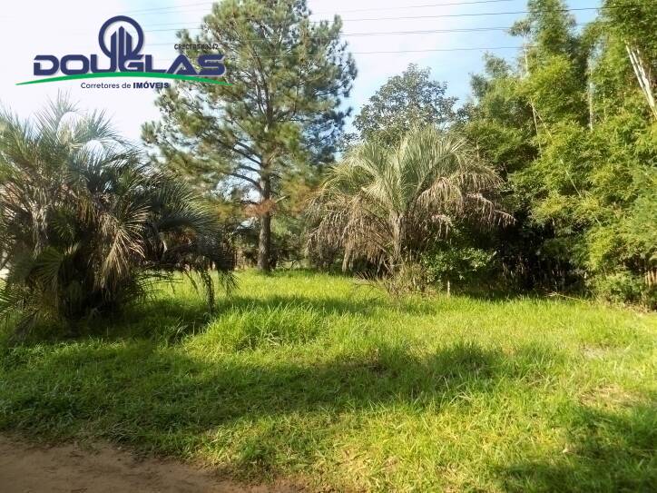 Terreno, 465 m² - Foto 5