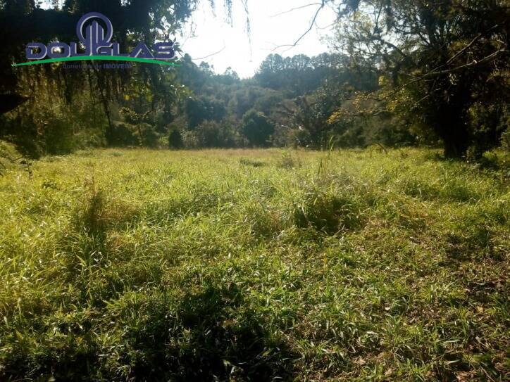 Sítio à venda com 2 quartos, 400000m² - Foto 14