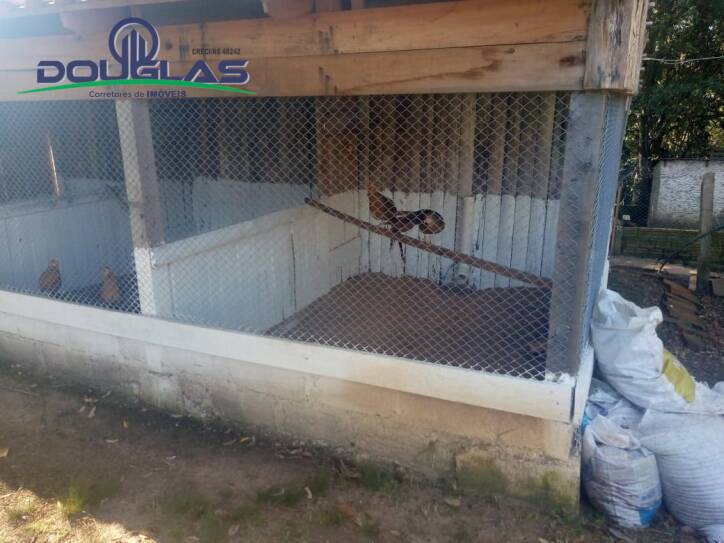 Sítio à venda com 2 quartos, 400000m² - Foto 27