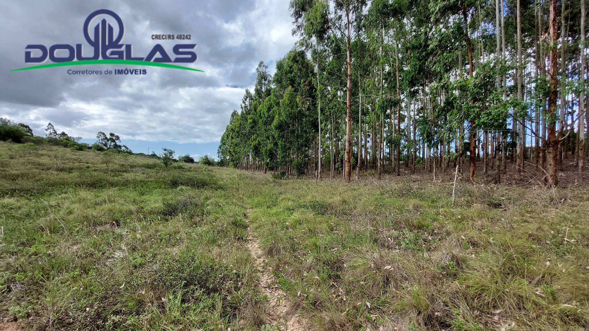 Terreno, 6 hectares - Foto 3