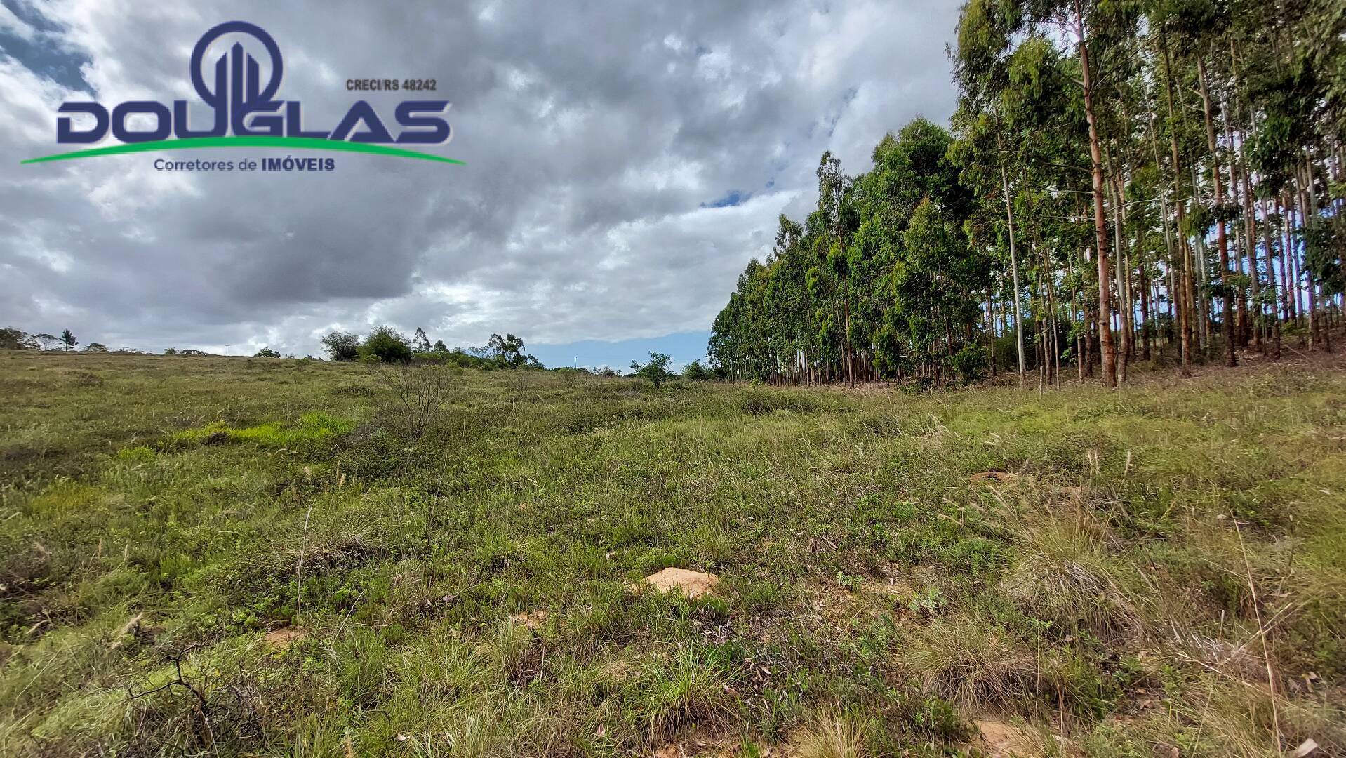 Terreno, 6 hectares - Foto 1