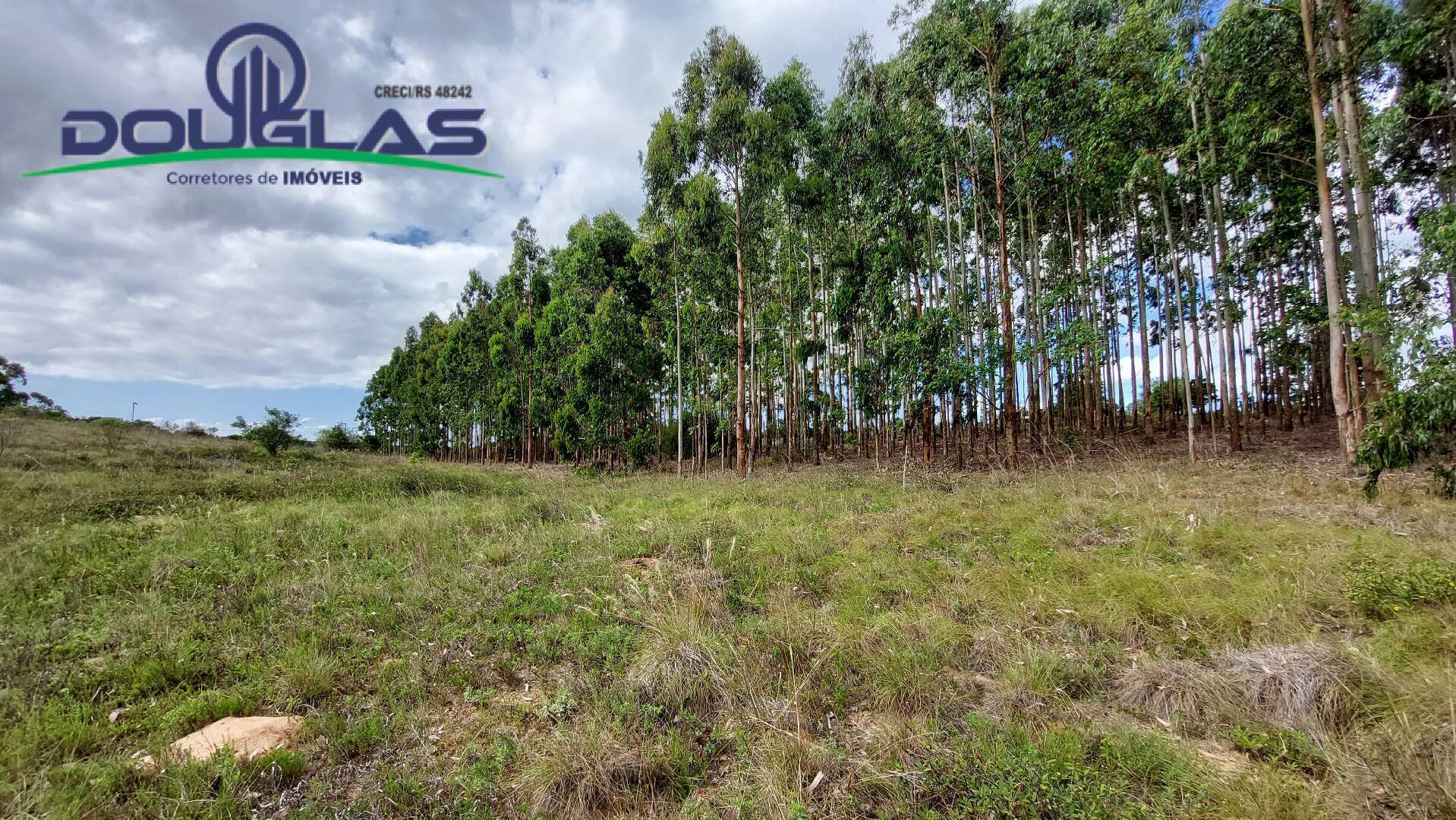 Terreno, 6 hectares - Foto 6