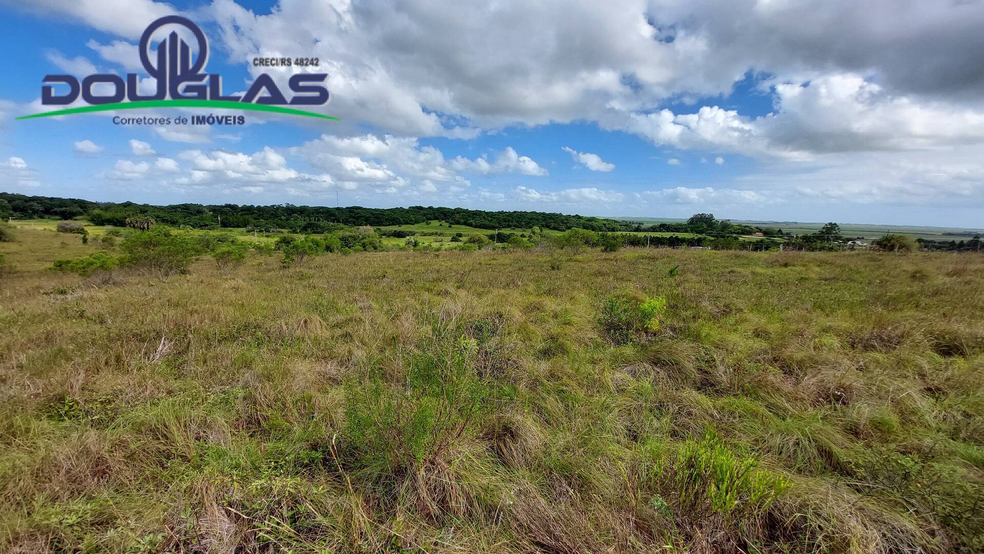 Terreno, 6 hectares - Foto 8