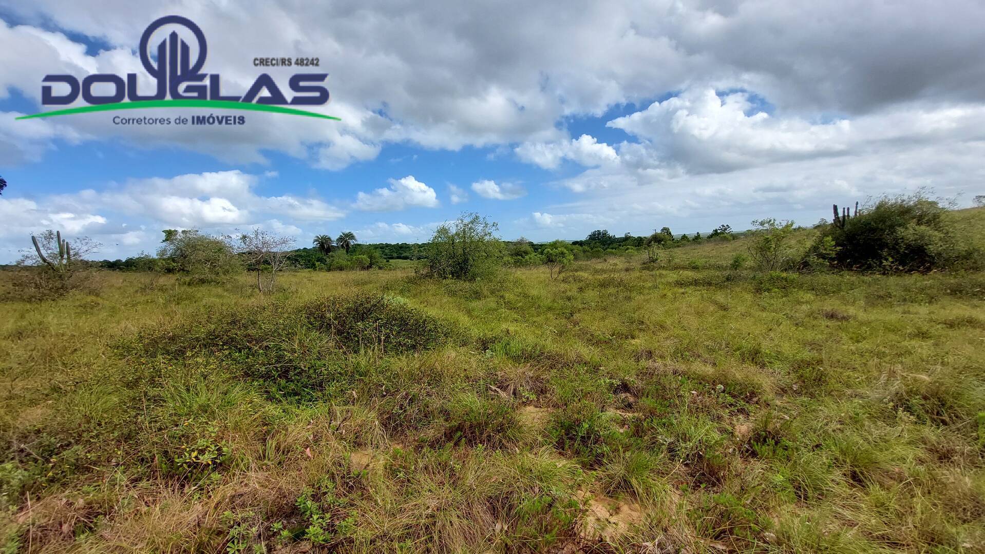 Terreno, 4 hectares - Foto 4