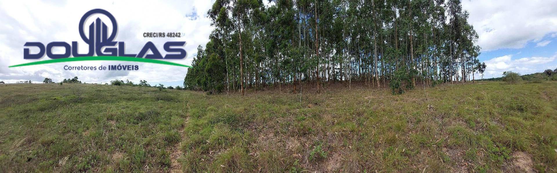 Terreno, 4 hectares - Foto 2