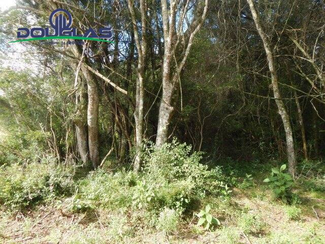 Terreno, 1000 m² - Foto 10