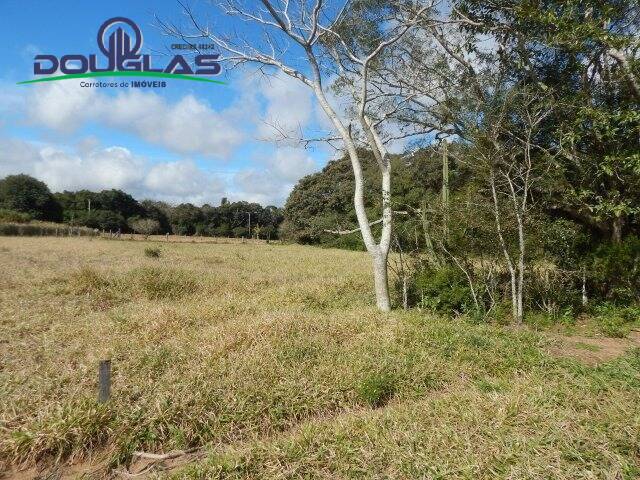 Terreno, 1000 m² - Foto 11