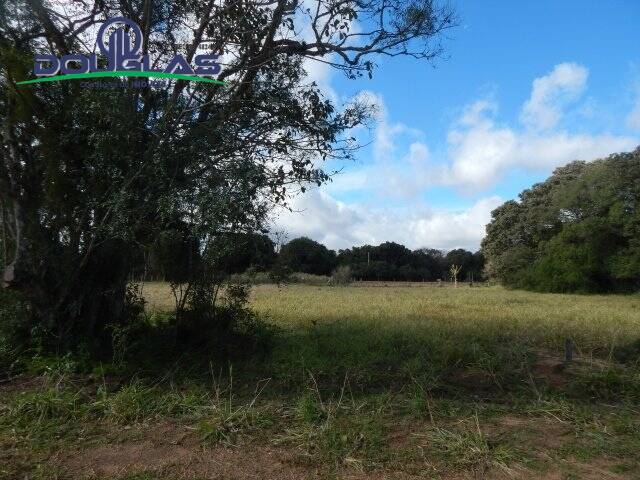 Terreno, 1000 m² - Foto 12