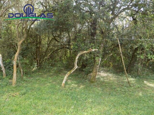 Chácara à venda com 4 quartos, 200m² - Foto 34