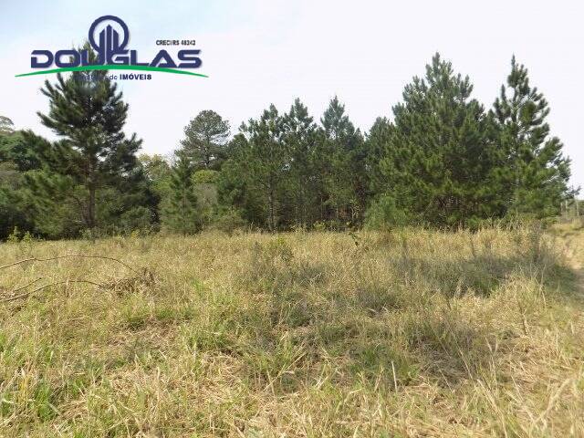 Chácara à venda com 4 quartos, 200m² - Foto 39
