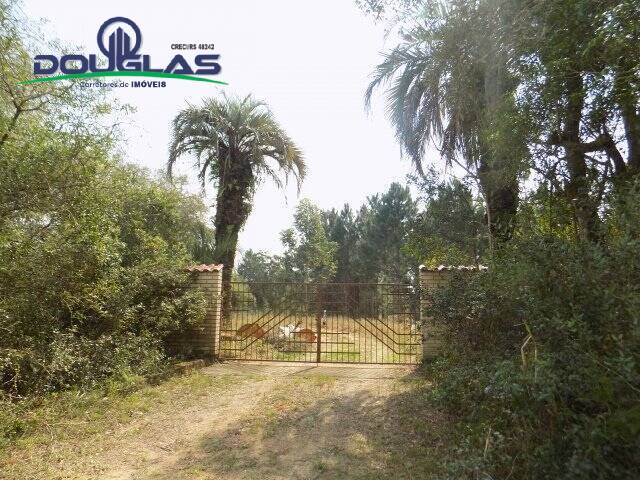 Chácara à venda com 4 quartos, 200m² - Foto 41