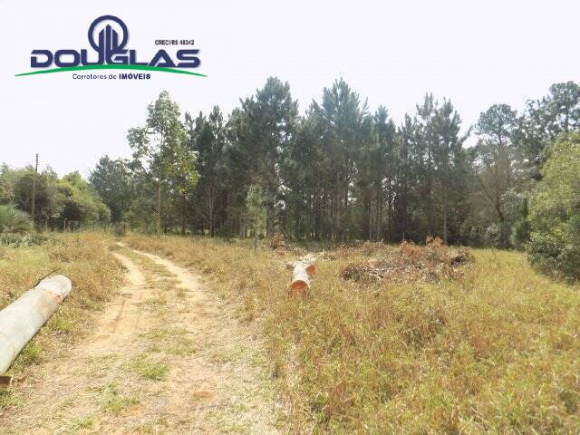 Chácara à venda com 4 quartos, 200m² - Foto 42