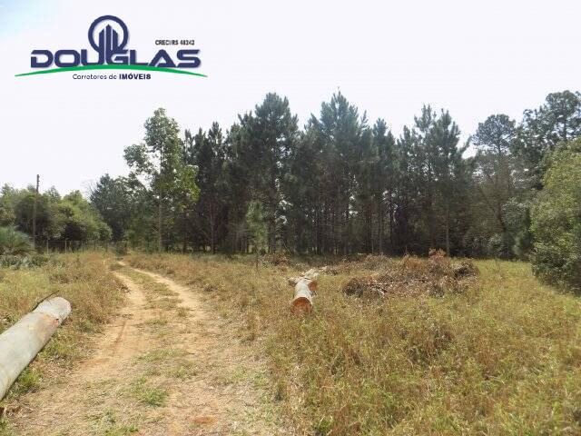 Chácara à venda com 4 quartos, 200m² - Foto 44