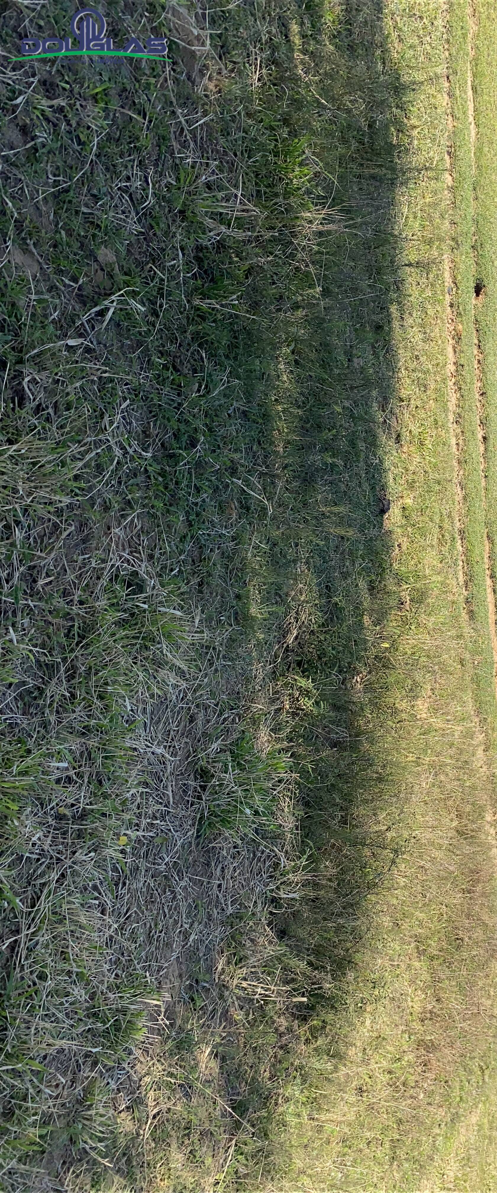 Casa, 2 quartos - Foto 13