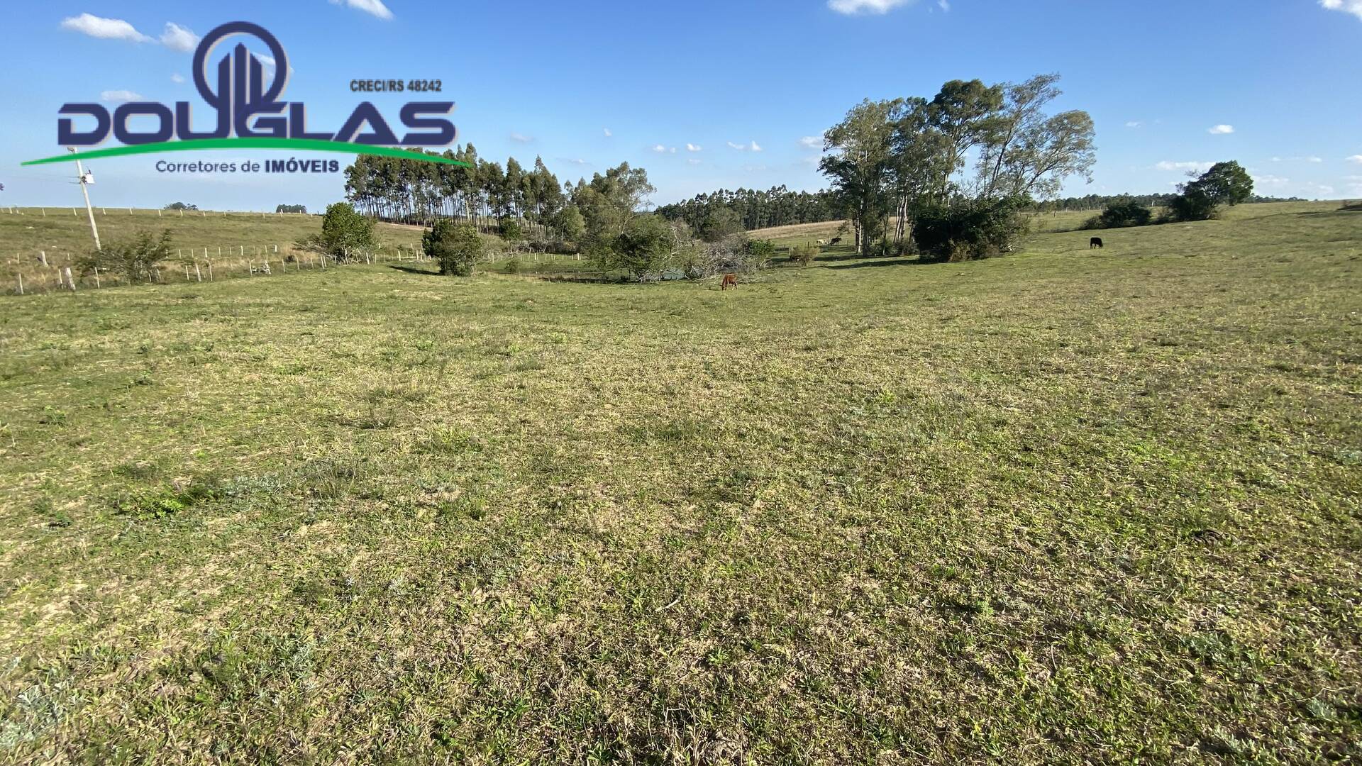 Casa, 2 quartos - Foto 31