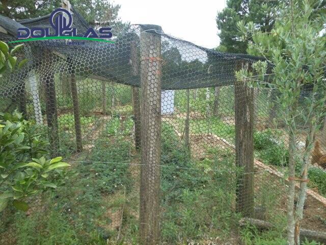 Casa, 2 quartos - Foto 24