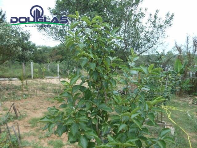 Casa, 2 quartos - Foto 25