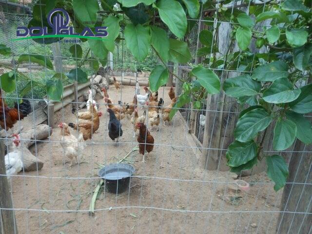 Casa, 2 quartos - Foto 26