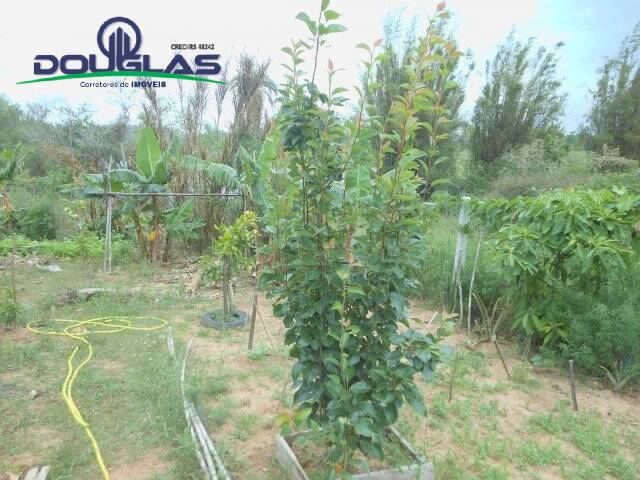 Casa, 2 quartos - Foto 28